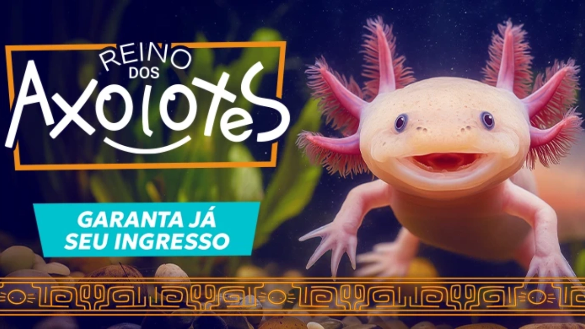 Mergulho com tubarões