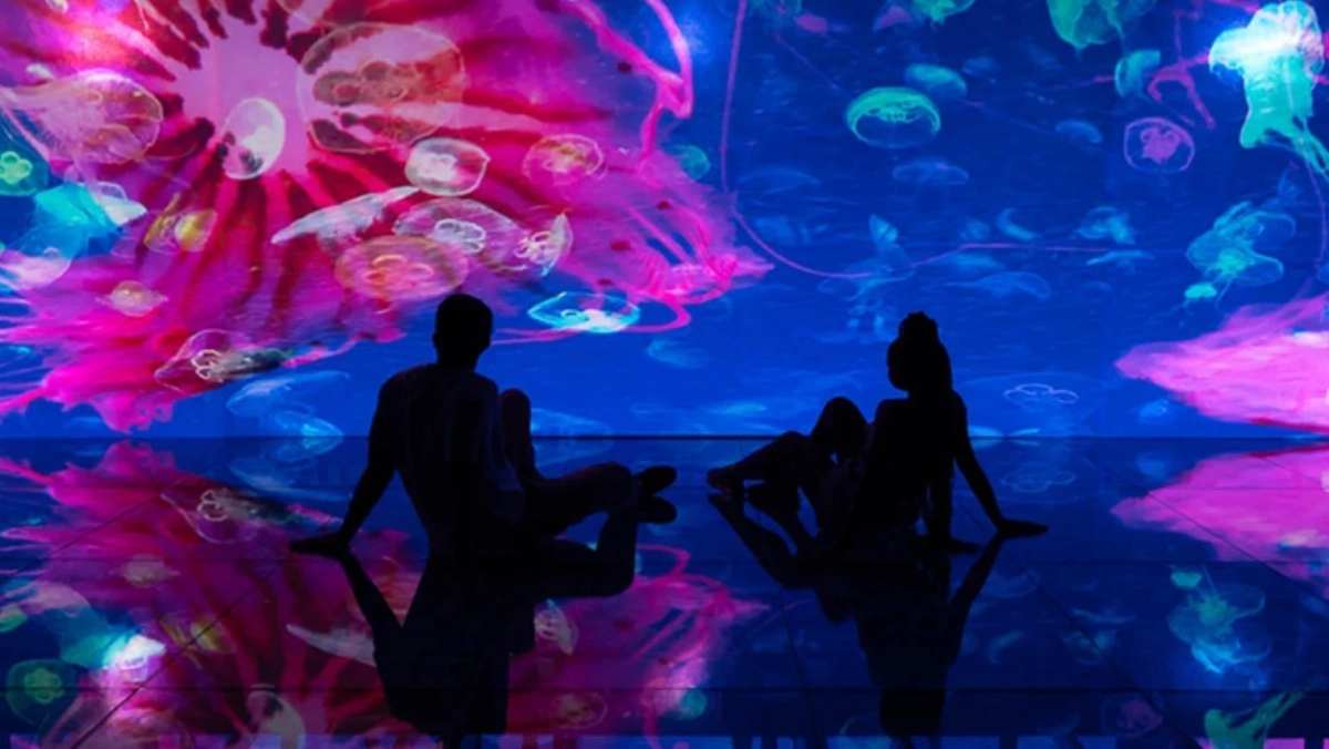 Ingresso Mar de Espelhos