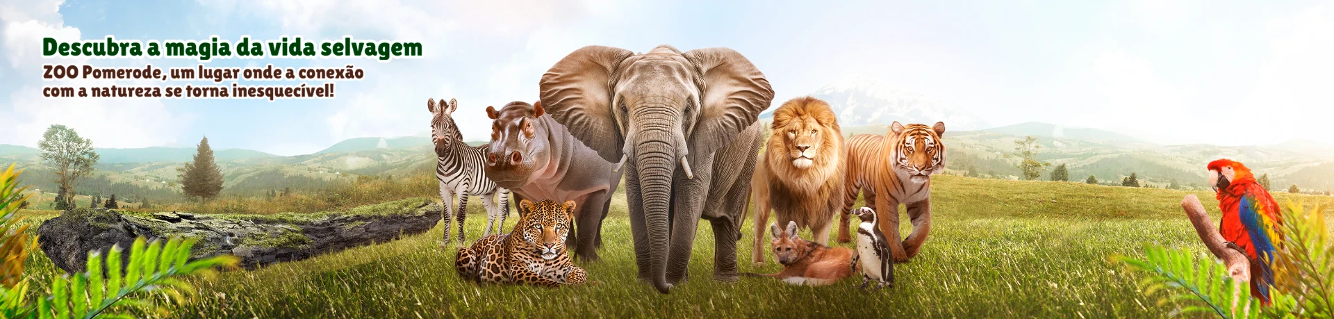Zoo Pomerode Banner