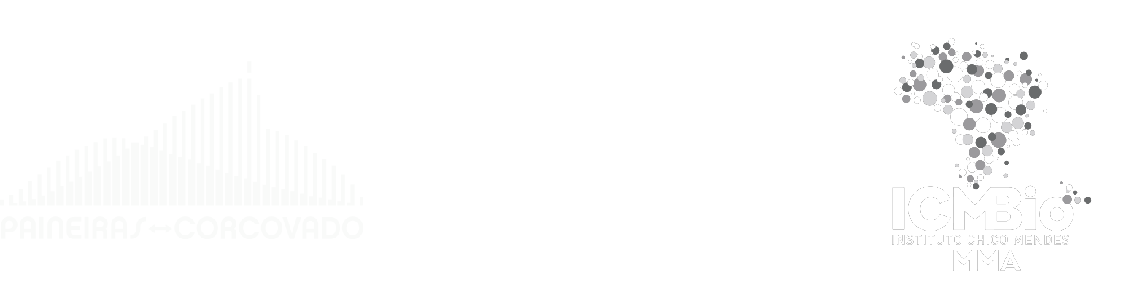 Logo Paineiras Corcovado